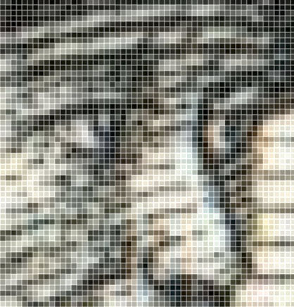 2400 dpi pixels reduced by 75% 2400 dpi pixels reduced by 75%